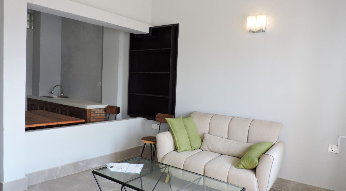 Very Nice One Bedroom Apartment for Rent in Tonle Bassac (1)