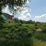 Land for Sale in Krong Siem Reap