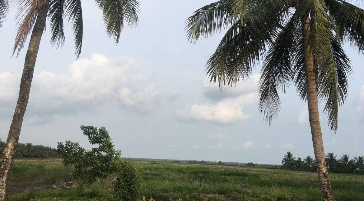 8 Hectares Agriculcure Land for Sale in Sihanoukville Province (1)