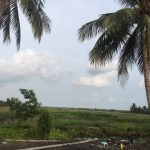 8 Hectares Agriculcure Land for Sale in Sihanoukville Province (1)