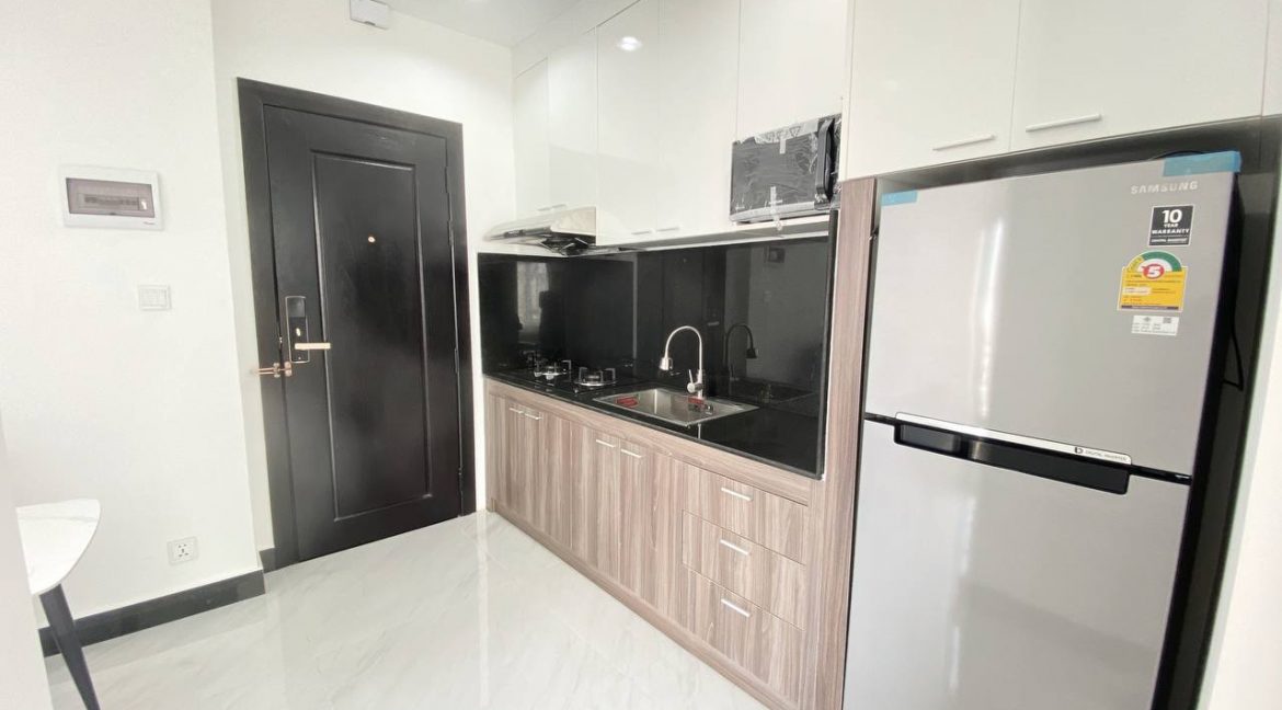 Modern Stylist 1 Bedroom Apartment for rent in 7 Makara (3)